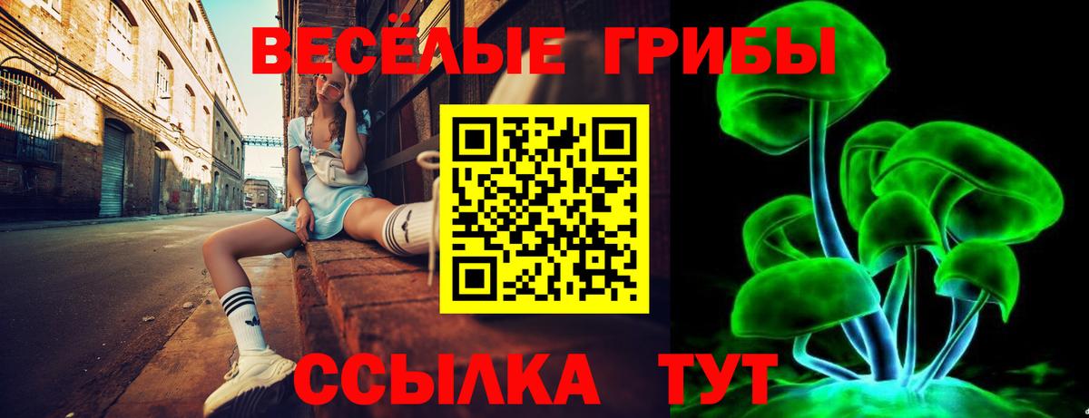 Можайск  Псилоцибиновые грибы мухоморы  Вход с VPN 