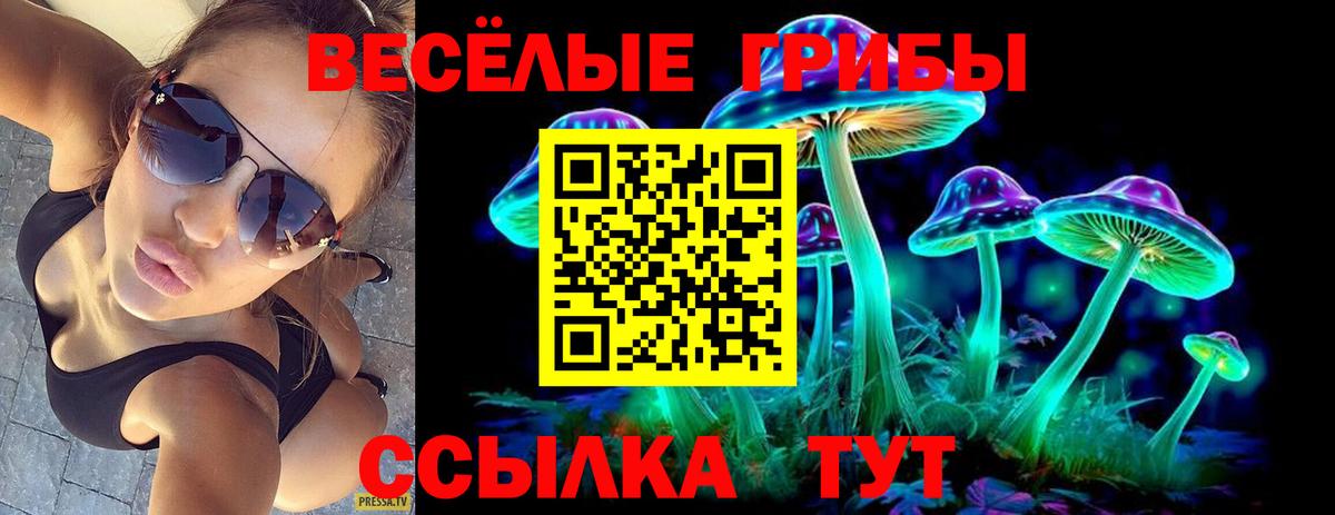 Псилоцибиновые грибы прущие грибы Можайск